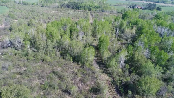 $99,900 | Tbd Skog Road, Kettle River, MN 55757