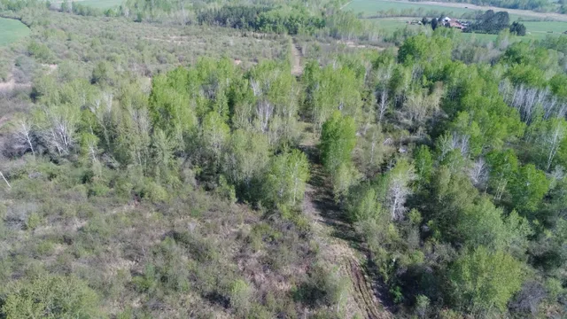 $99,900 | Tbd Skog Road, Kettle River, MN 55757