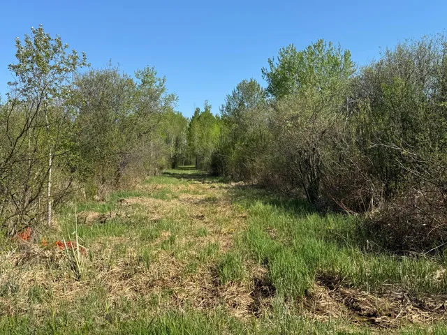 $99,900 | Tbd Skog Road, Kettle River, MN 55757