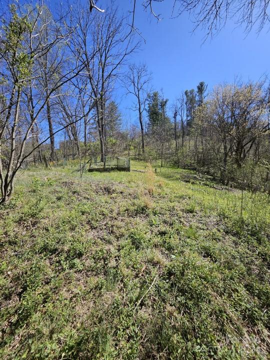 186 Rector Corner Road Marshall, NC 28753 - Photo 14 of 15 a view of a yard with a tree