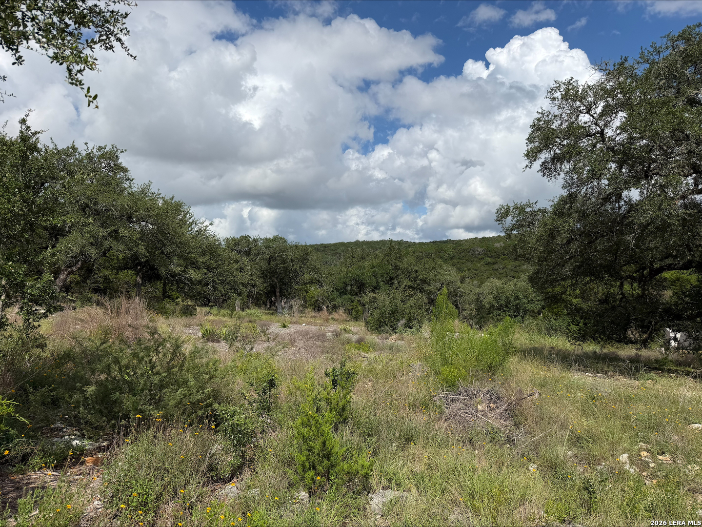 1417 Powder Ridge New Braunfels, TX 78132 - Photo 11 of 17