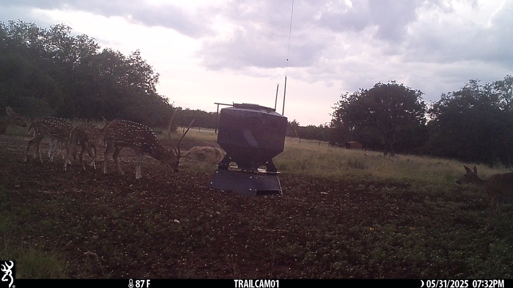 252 Elrincon Road Mountain Home, TX 78058 - Photo 23 of 29