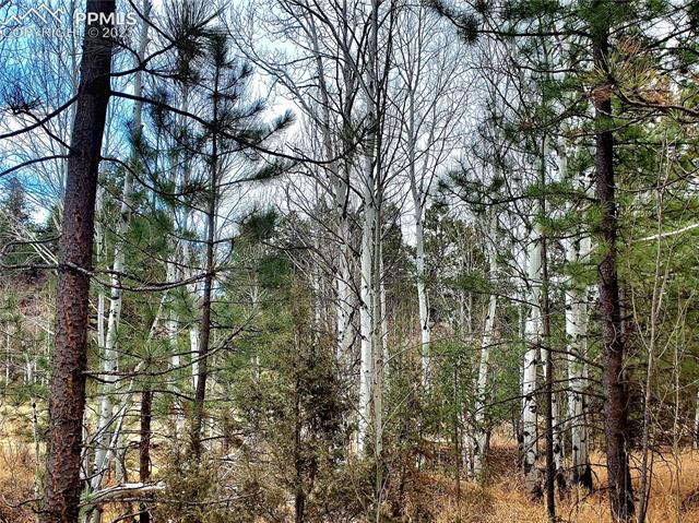 117 Apache Road Florissant, CO 80816 - Photo 13 of 15
