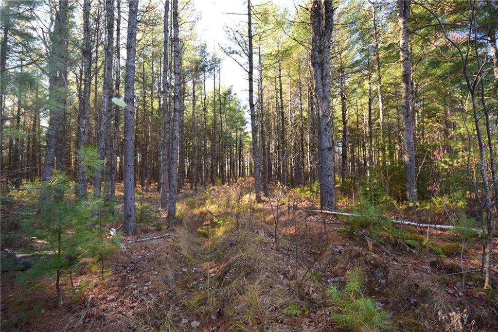 0 Rt 143 Dixmont, ME 04932 - Photo 5 of 18 Maine Land for Sale