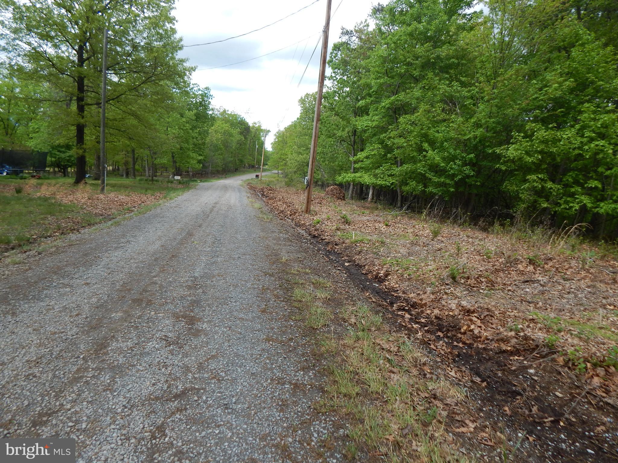 Plum Tree Lane Berkeley Springs, WV 25411 - Photo 21 of 51 a view of a forest with trees
