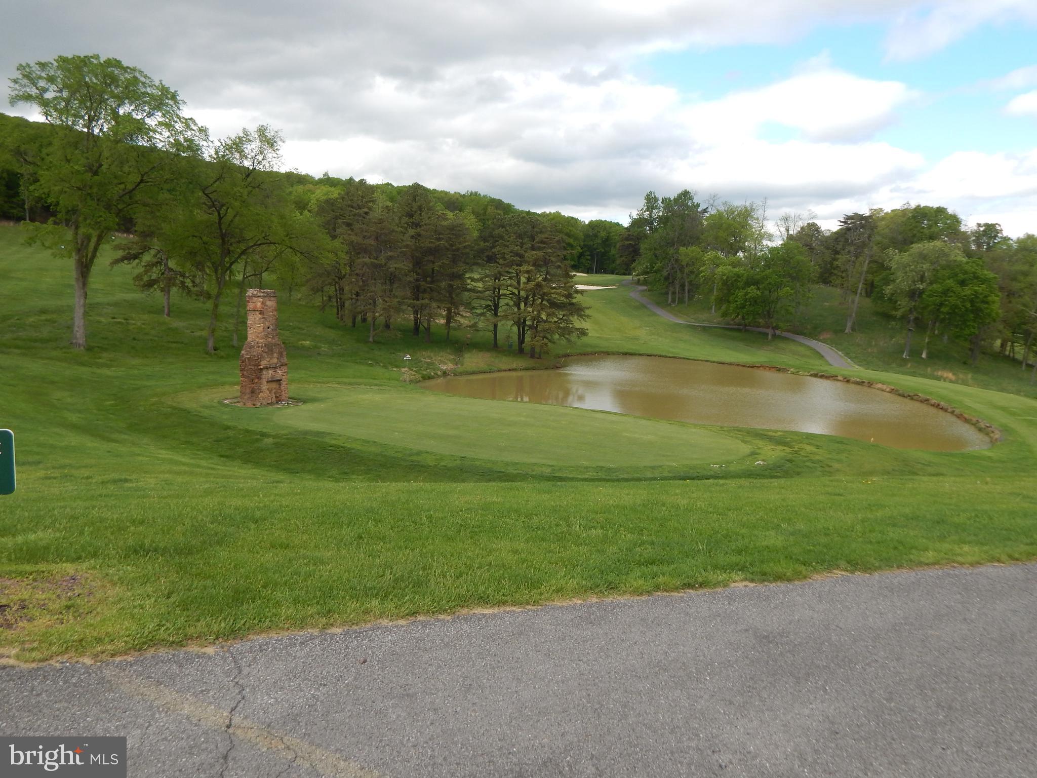 Plum Tree Lane Berkeley Springs, WV 25411 - Photo 27 of 51 a view of a lake with a big yard