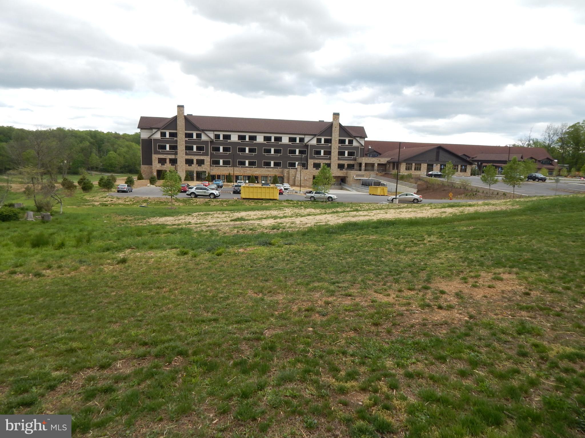 Plum Tree Lane Berkeley Springs, WV 25411 - Photo 29 of 51 a view of a big yard with lawn chairs and large trees