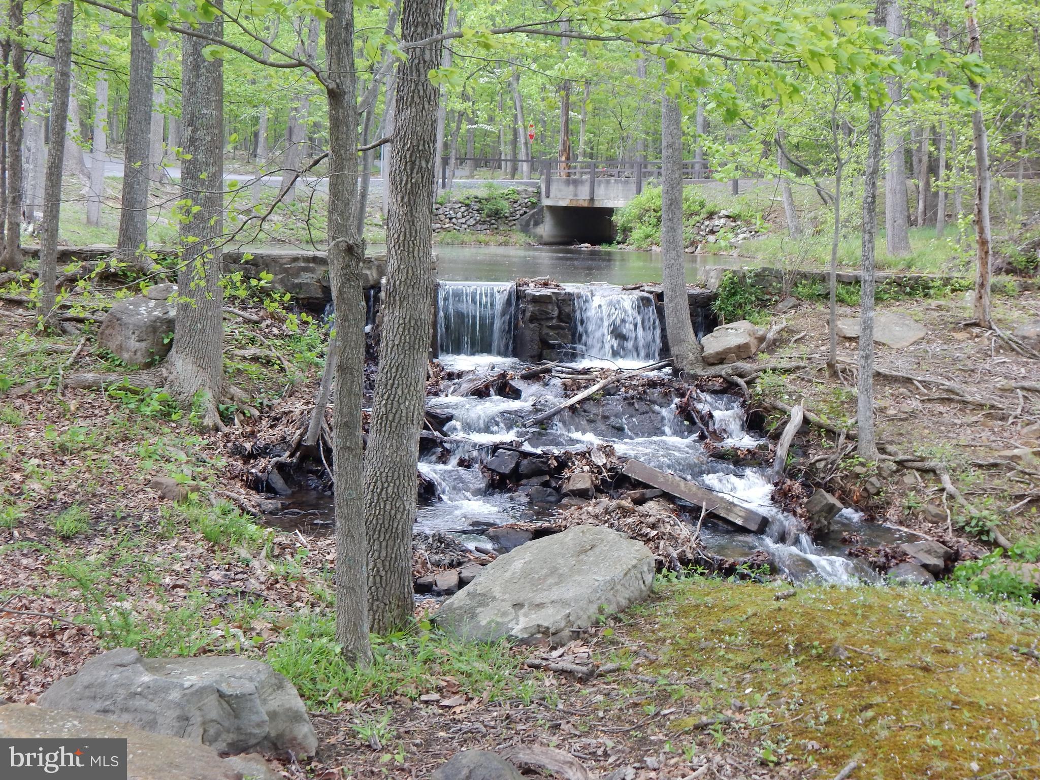 Plum Tree Lane Berkeley Springs, WV 25411 - Photo 31 of 51 a view of backyard with green space