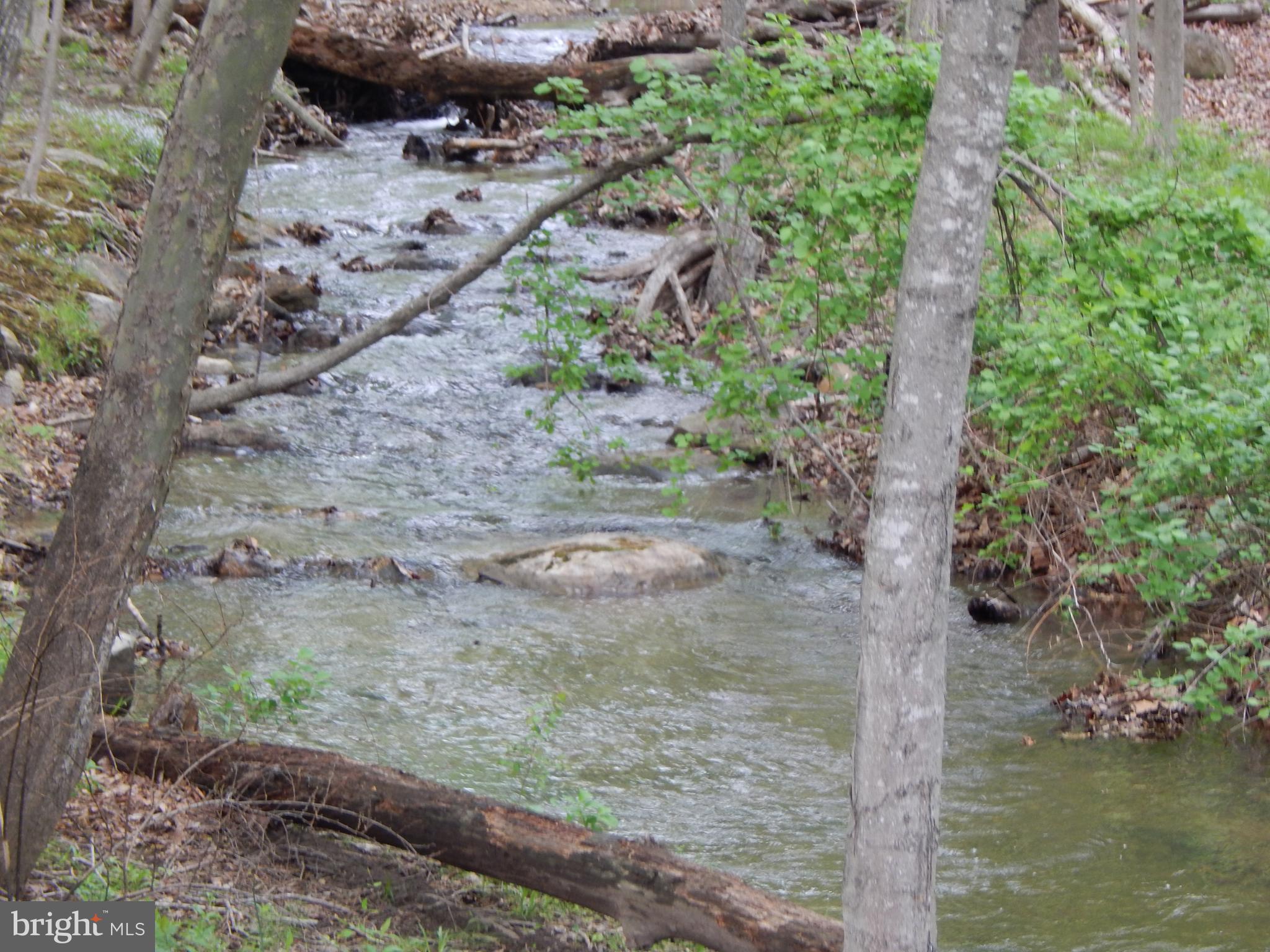 Plum Tree Lane Berkeley Springs, WV 25411 - Photo 33 of 51 a view of a lake with large trees