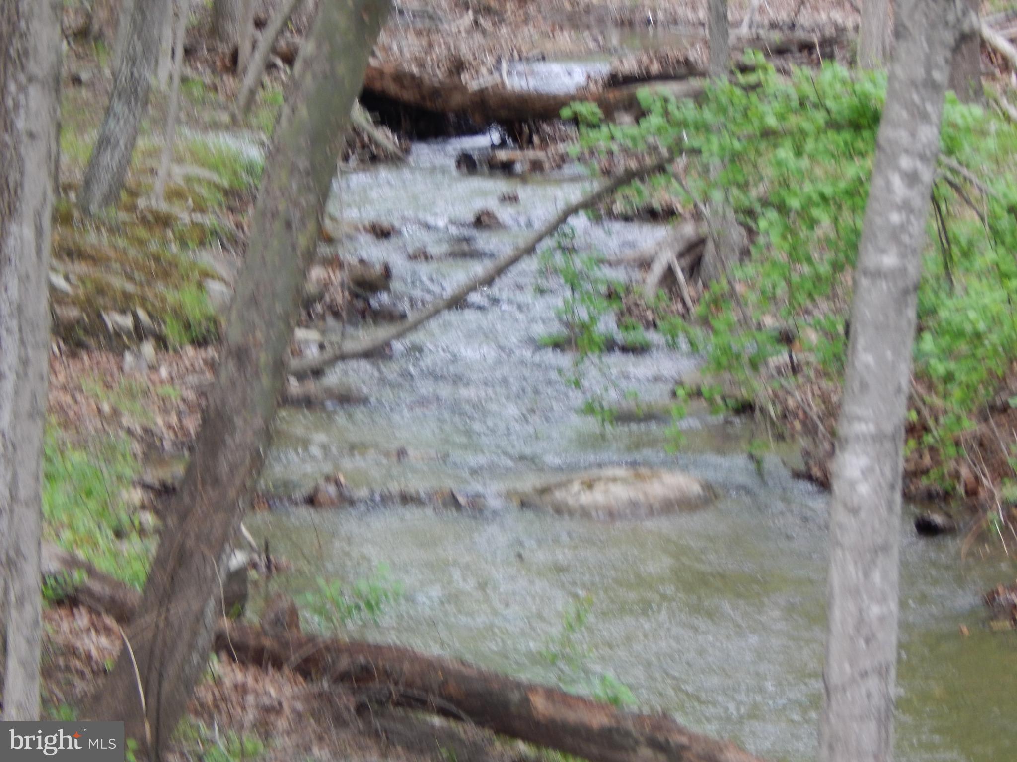 Plum Tree Lane Berkeley Springs, WV 25411 - Photo 34 of 51 a view of a yard