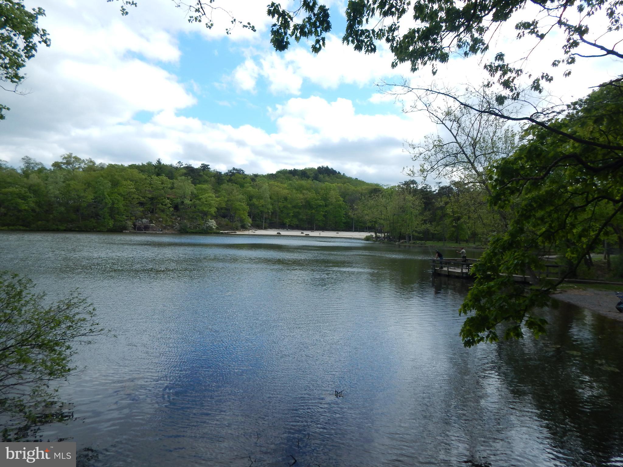 Plum Tree Lane Berkeley Springs, WV 25411 - Photo 35 of 51 a view of lake