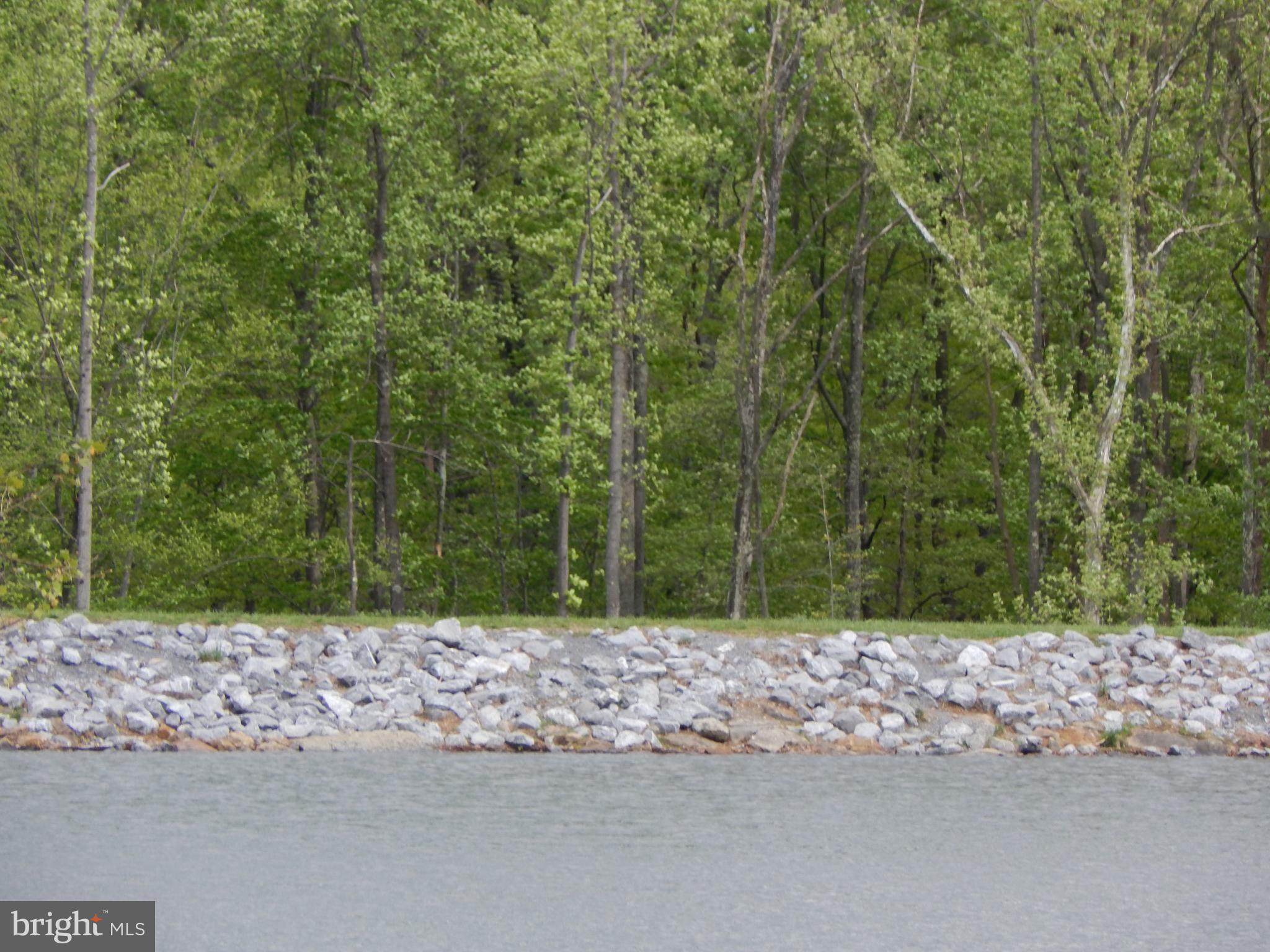 Plum Tree Lane Berkeley Springs, WV 25411 - Photo 38 of 51 a wooden bench with a tree