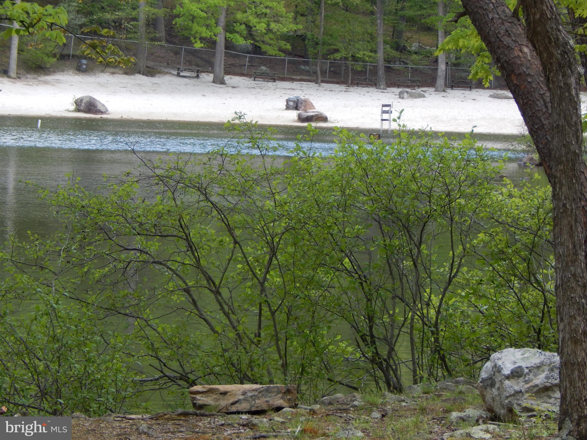 Plum Tree Lane Berkeley Springs, WV 25411 - Photo 40 of 51 a house view with swimming pool and trees in the background