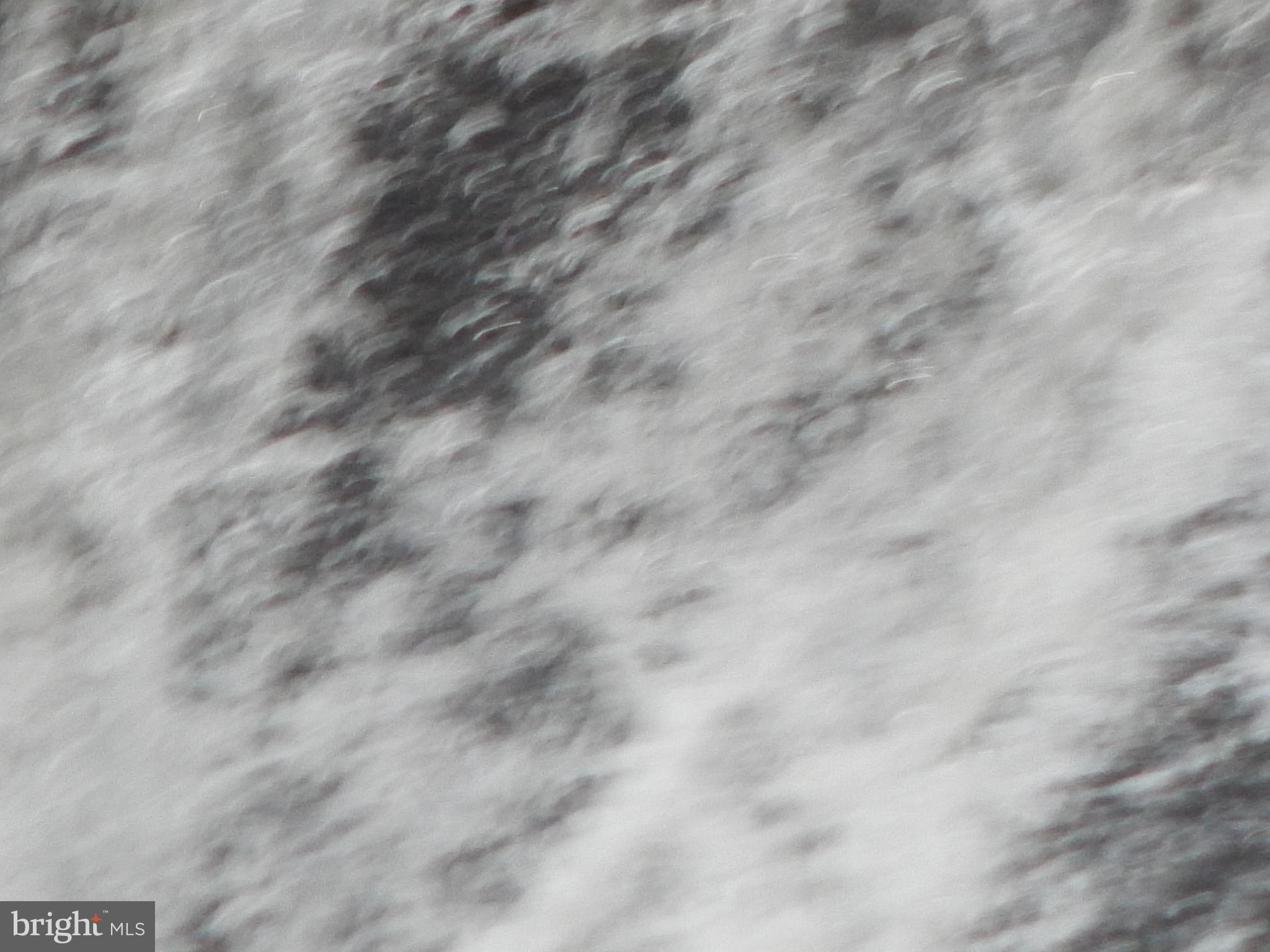 Plum Tree Lane Berkeley Springs, WV 25411 - Photo 42 of 51