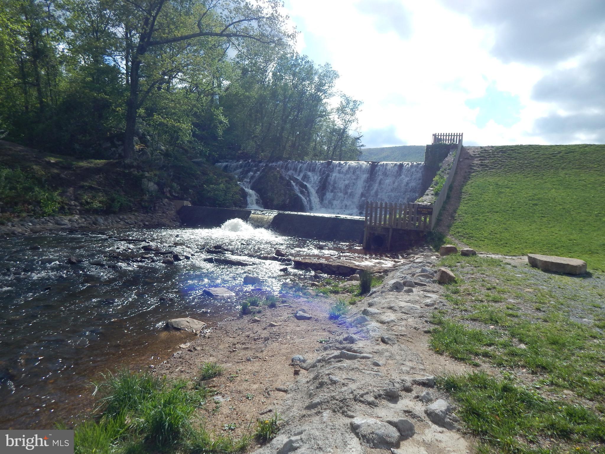 Plum Tree Lane Berkeley Springs, WV 25411 - Photo 44 of 51 a view of a backyard with trees