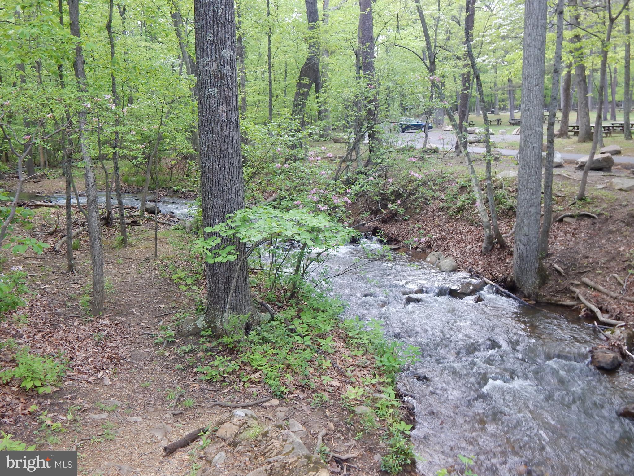 Plum Tree Lane Berkeley Springs, WV 25411 - Photo 45 of 51 a backyard of a house with lots of green space