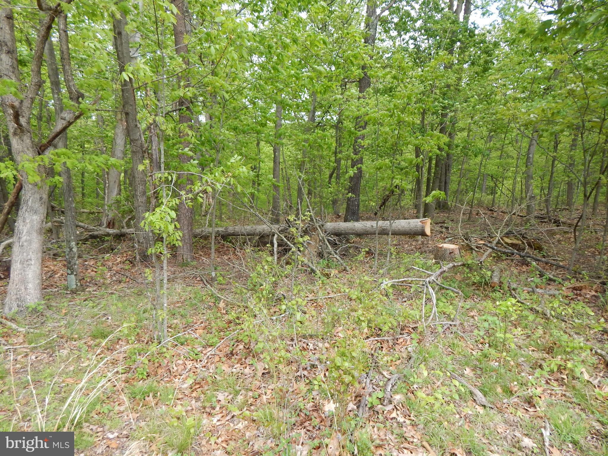 Plum Tree Lane Berkeley Springs, WV 25411 - Photo 5 of 51 a backyard of a house with table and chairs