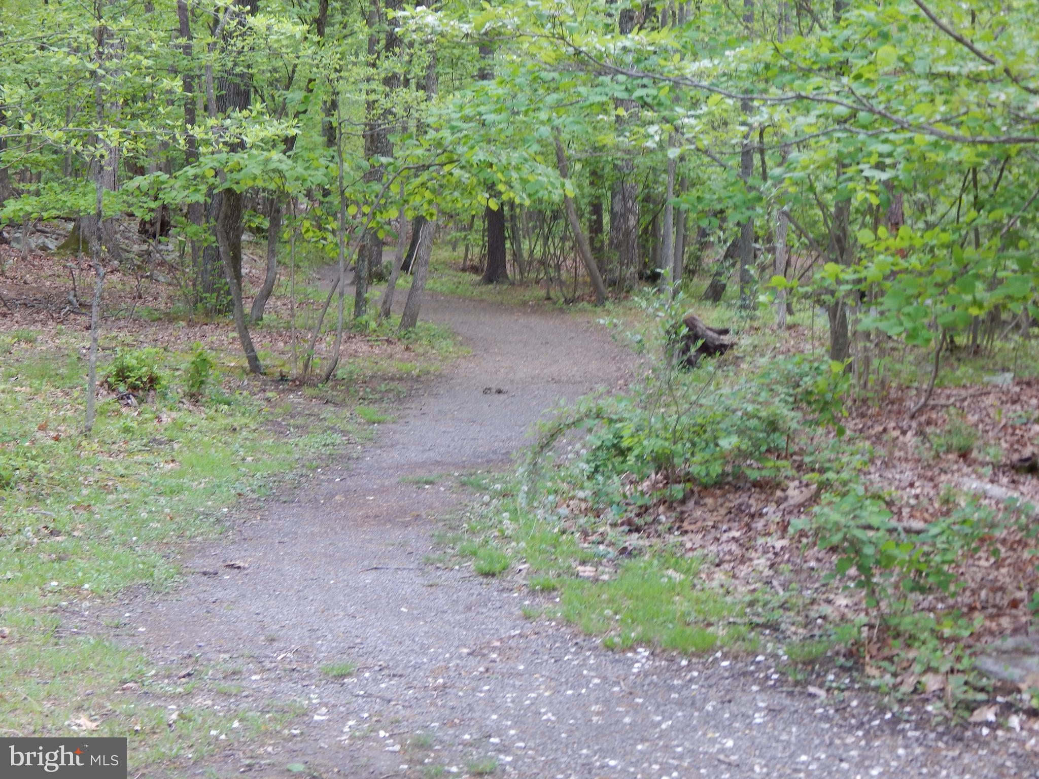 Plum Tree Lane Berkeley Springs, WV 25411 - Photo 51 of 51 a backyard of a house with lots of green space