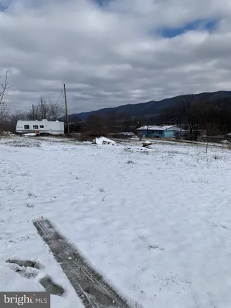 a view of a dry yard