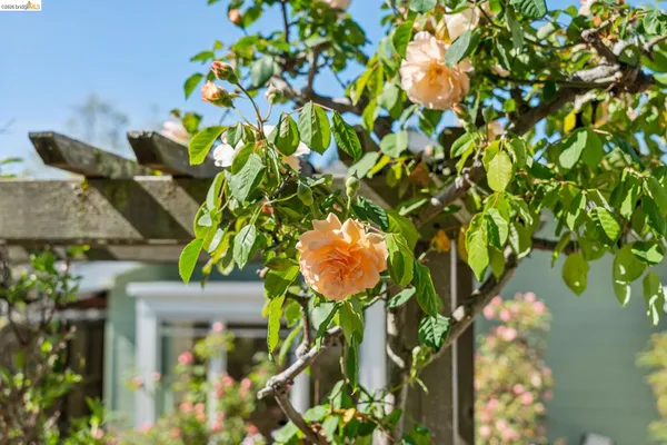 $949,000 | 716 Ashbury Avenue, El Cerrito, CA 94530