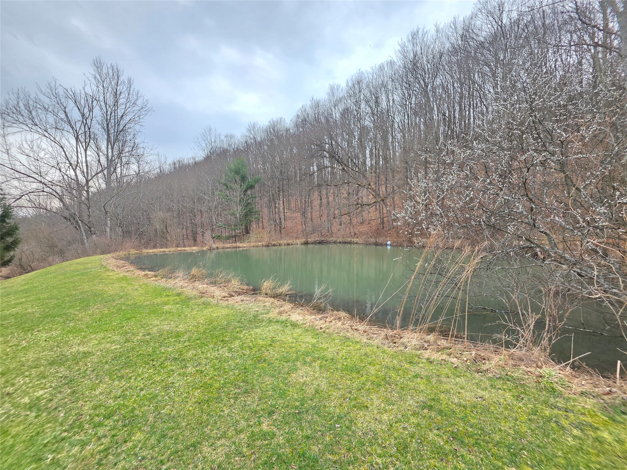 514 Crumtown Road Spencer, NY 14883 - Photo 33 of 49