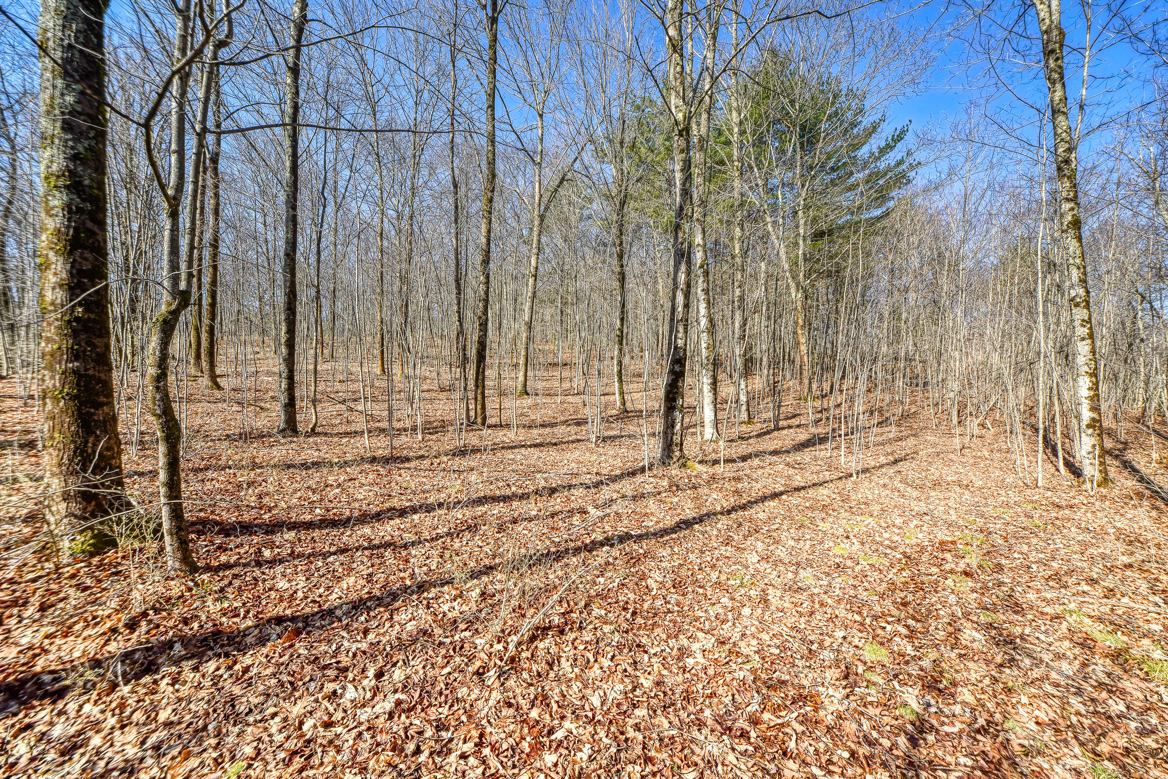 Lot 53-03 Langdon Road Richmond, ME 04357 - Photo 24 of 43 108695gr-109