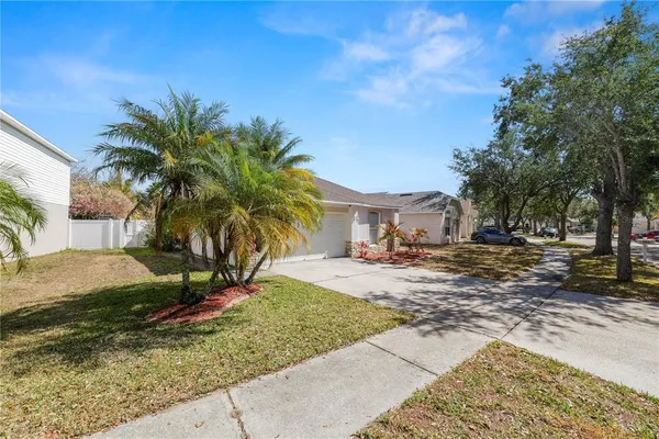 a view of a yard with plants