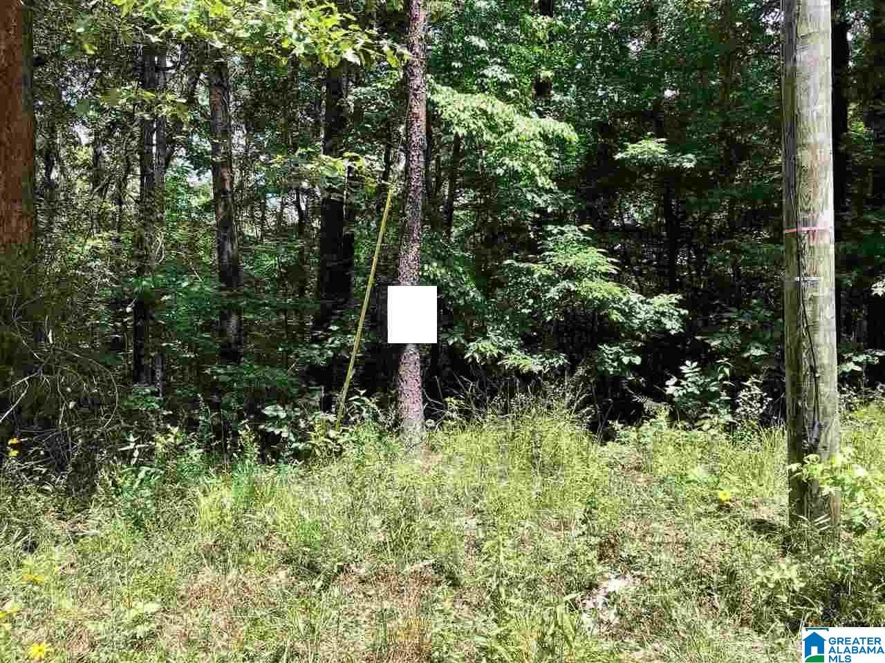 Clyde Circle, Unit 4 McCalla, AL 35111 - Photo 1 of 1
