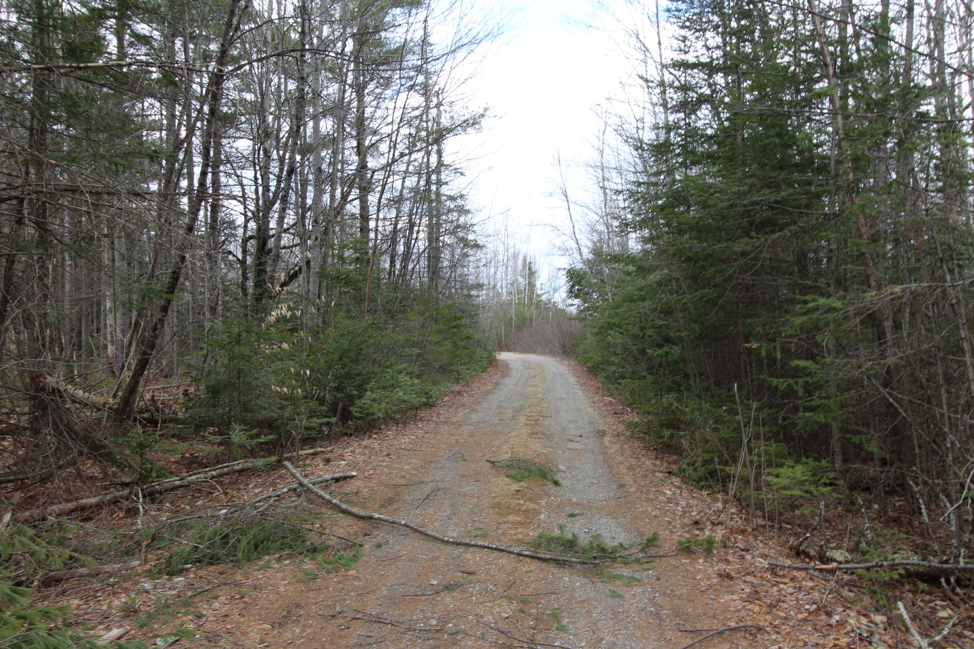 Lot 16 Back Searsport Road Belfast, ME 04915 - Photo 11 of 16 Rutland Back Searsport Rd (71)