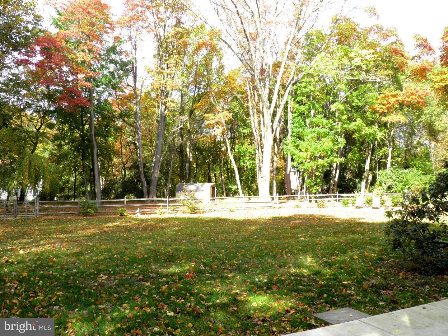 8 Clearview Road Malvern, PA 19355 - Photo 12 of 20 Back Yard