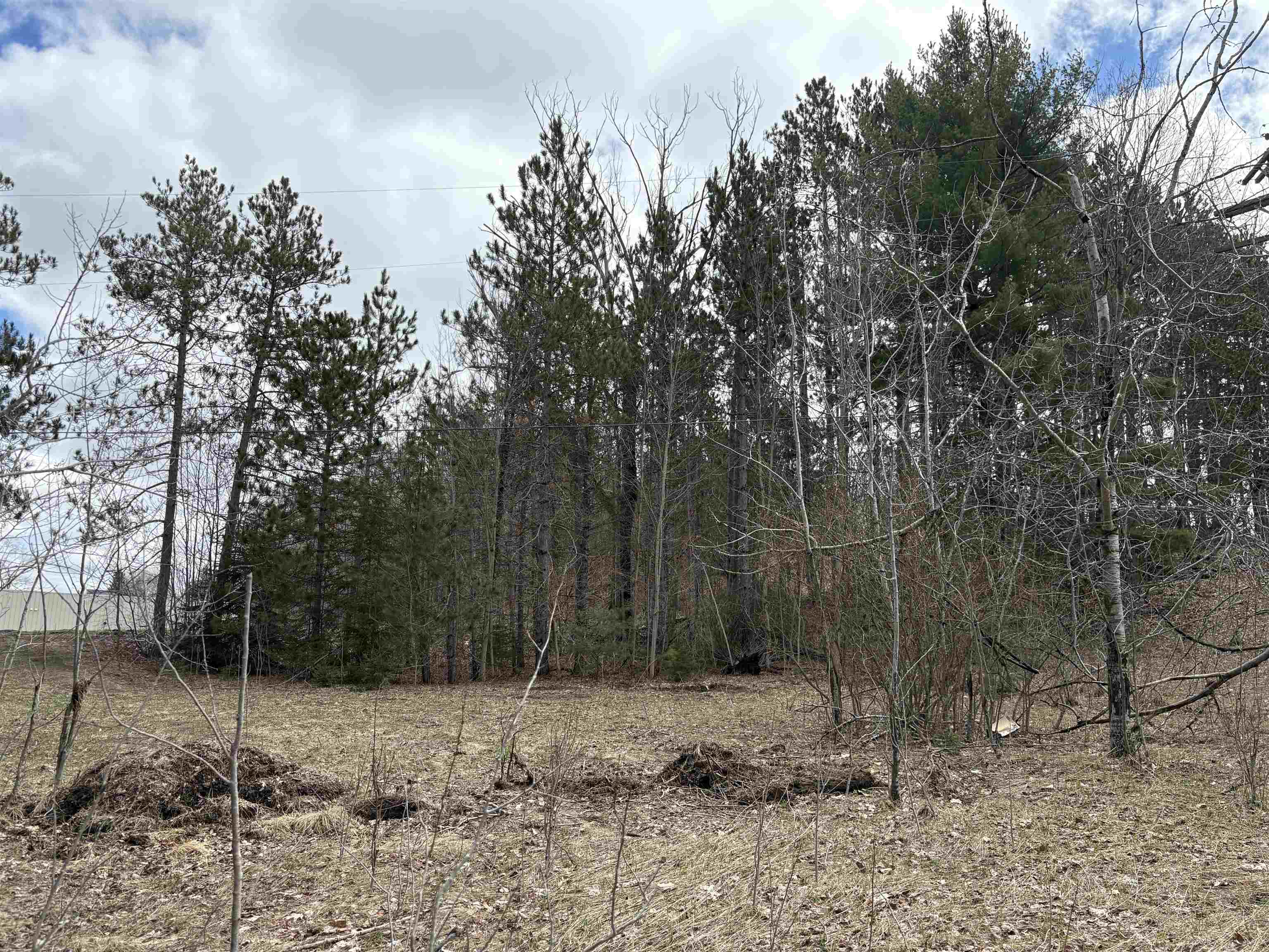 2450 North Marshall Road Beulah, MI 49617 - Photo 6 of 21