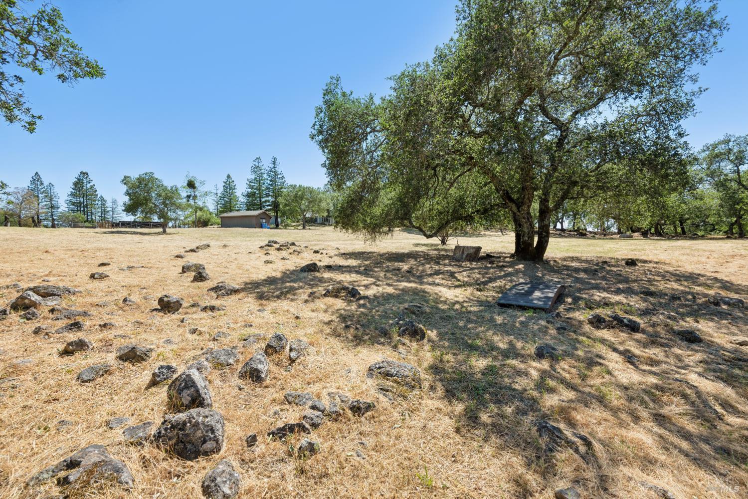 4665 Upper Ridge Road Santa Rosa, CA 95404 - Photo 51 of 71 a view of a dry yard with wooden fence