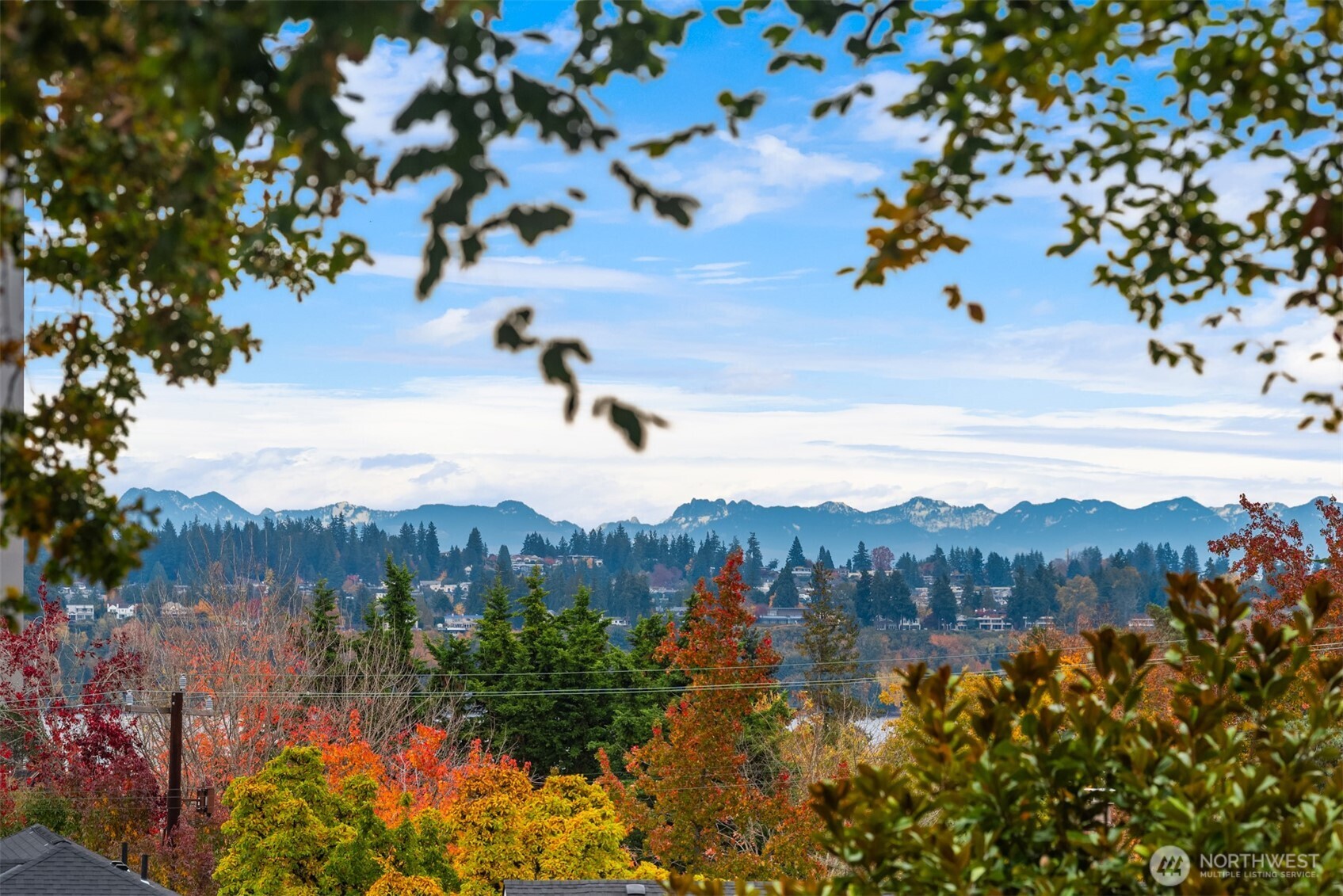 1615 39th Avenue East Seattle, WA 98112 - Photo 18 of 37 a view of a lake with a mountain in the background