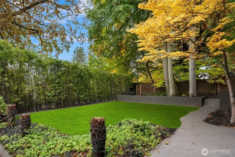 a view of garden with trees