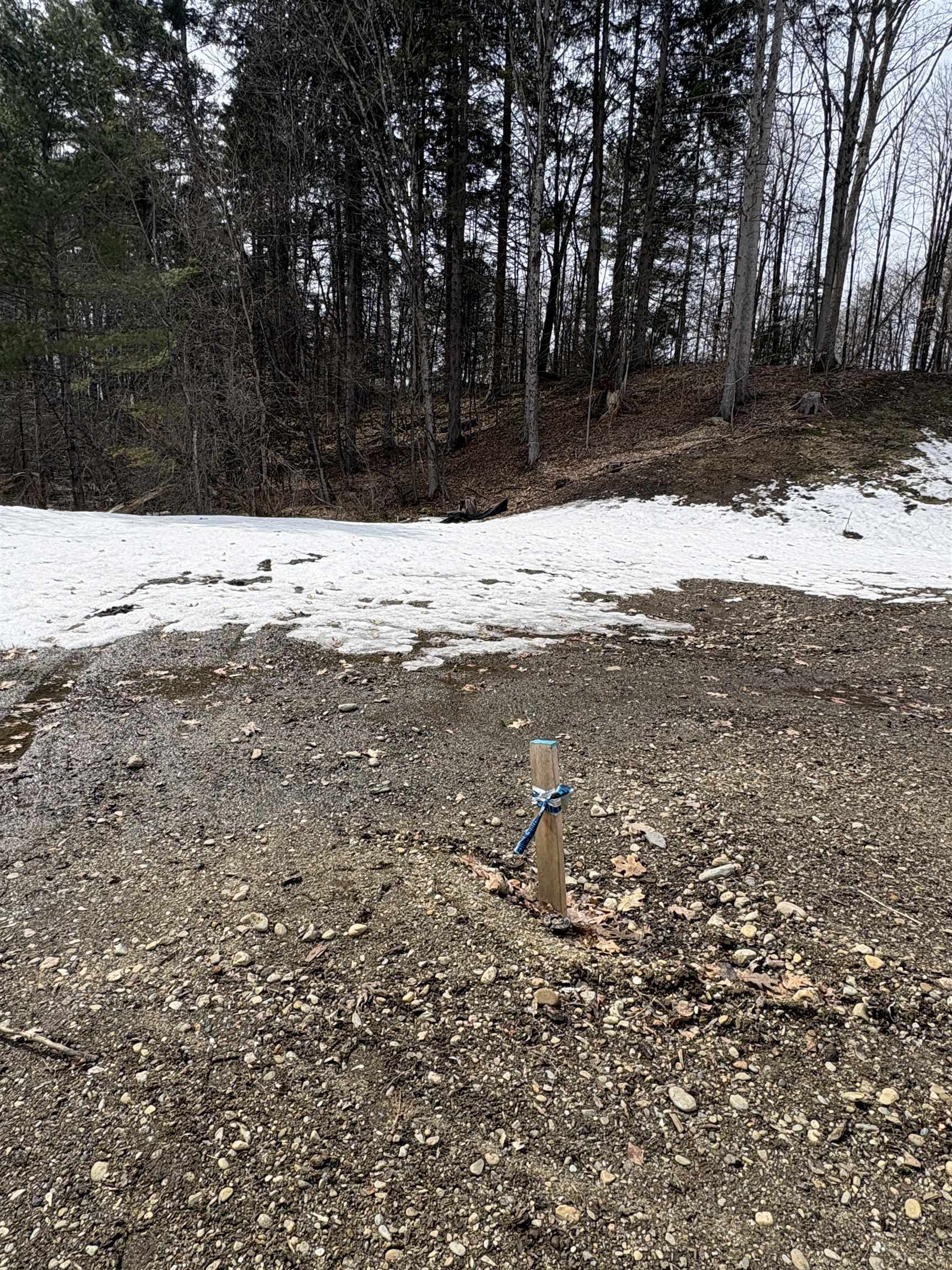 0 Pearl Street Randolph, VT 05060 - Photo 1 of 5