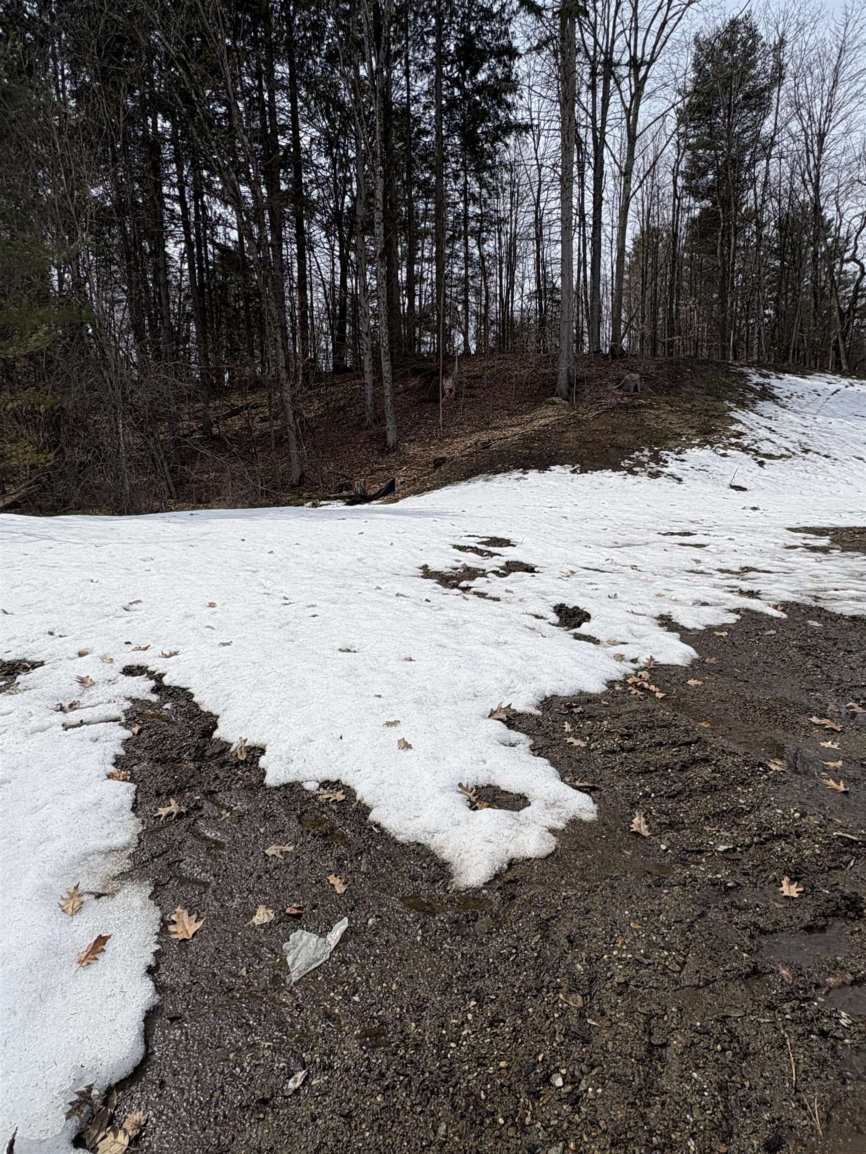 0 Pearl Street Randolph, VT 05060 - Photo 2 of 5