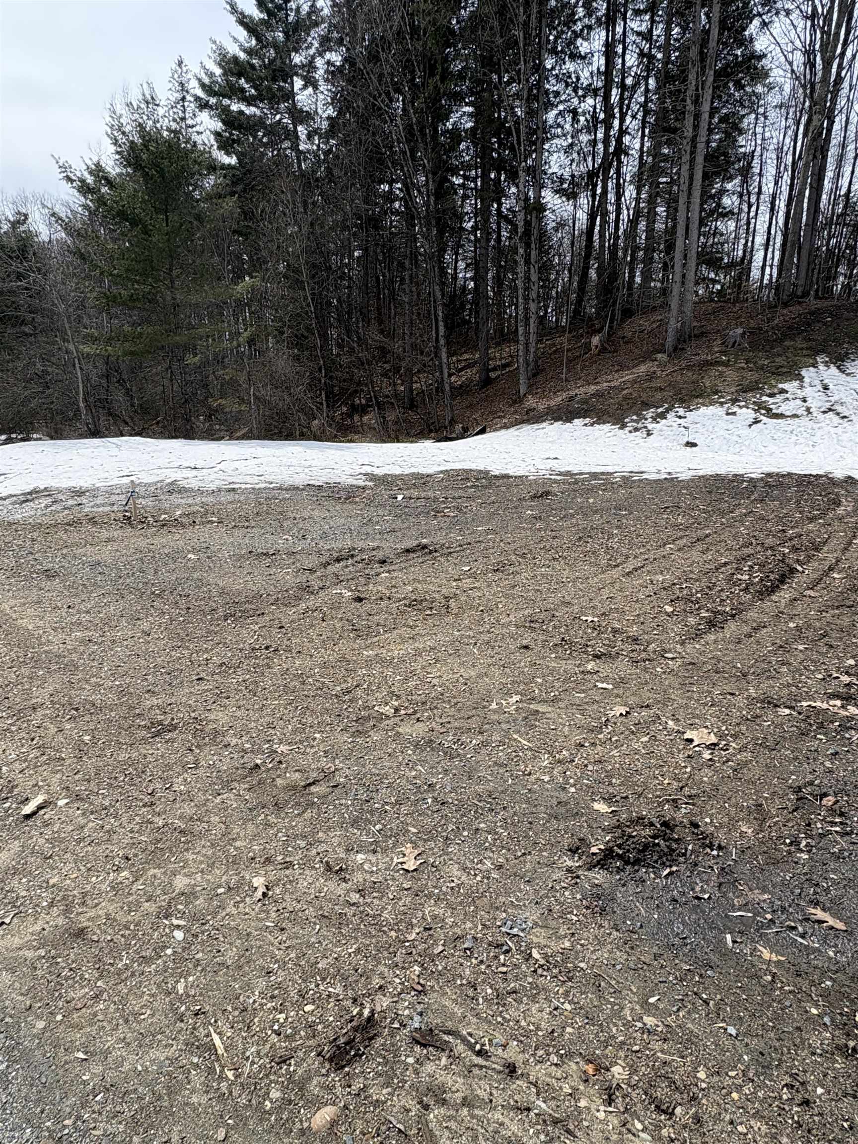 0 Pearl Street Randolph, VT 05060 - Photo 3 of 5