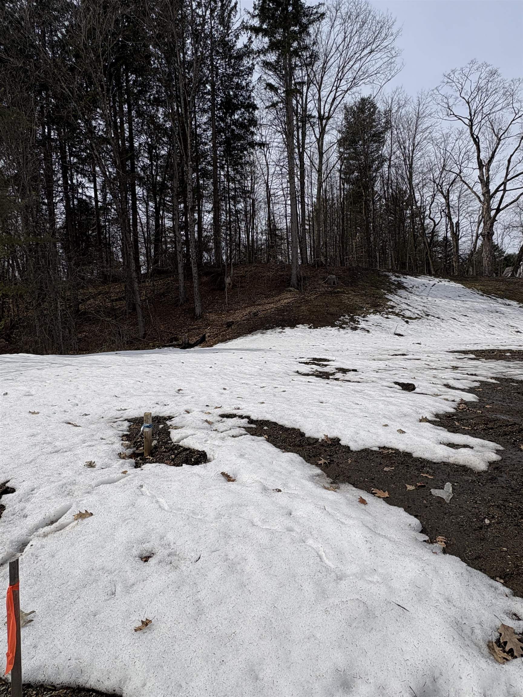 0 Pearl Street Randolph, VT 05060 - Photo 4 of 5