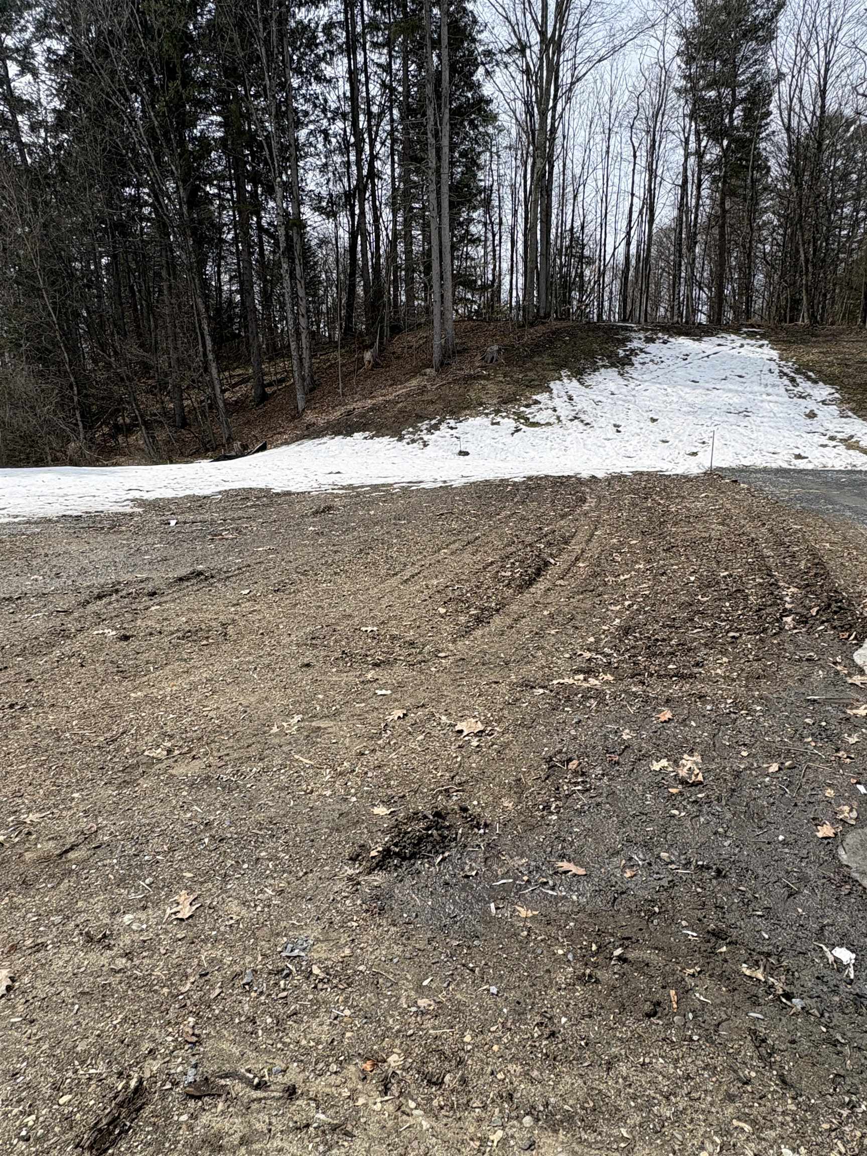 0 Pearl Street Randolph, VT 05060 - Photo 5 of 5