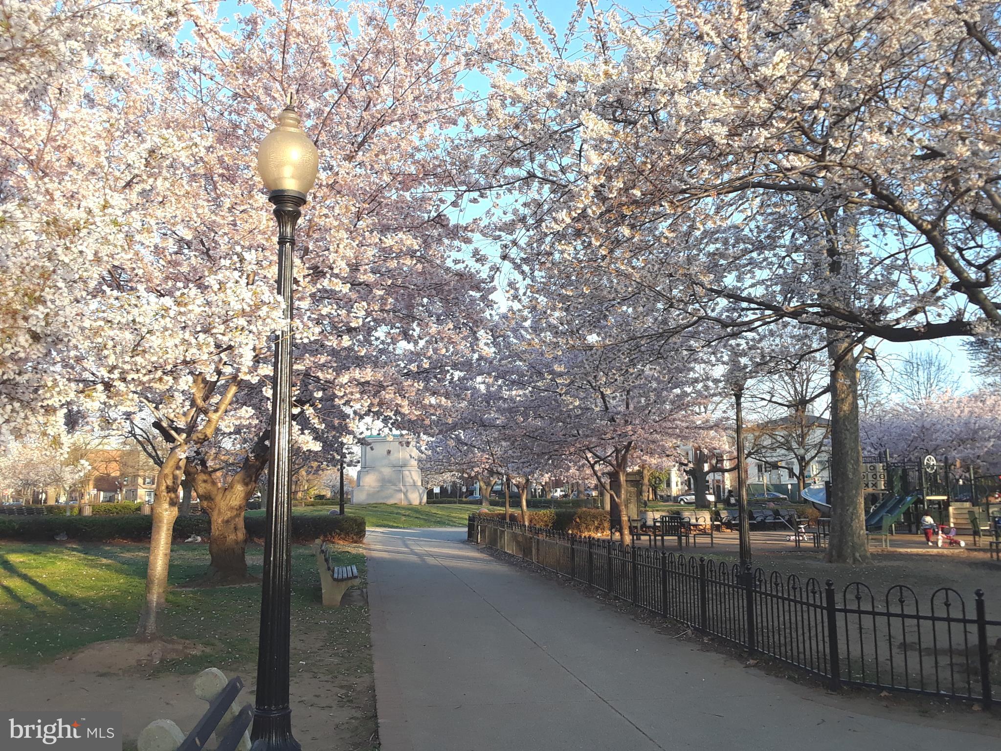 401 E Street Northeast, Unit 1 Washington, DC 20002 - Photo 5 of 5 a view of a street with a tree
