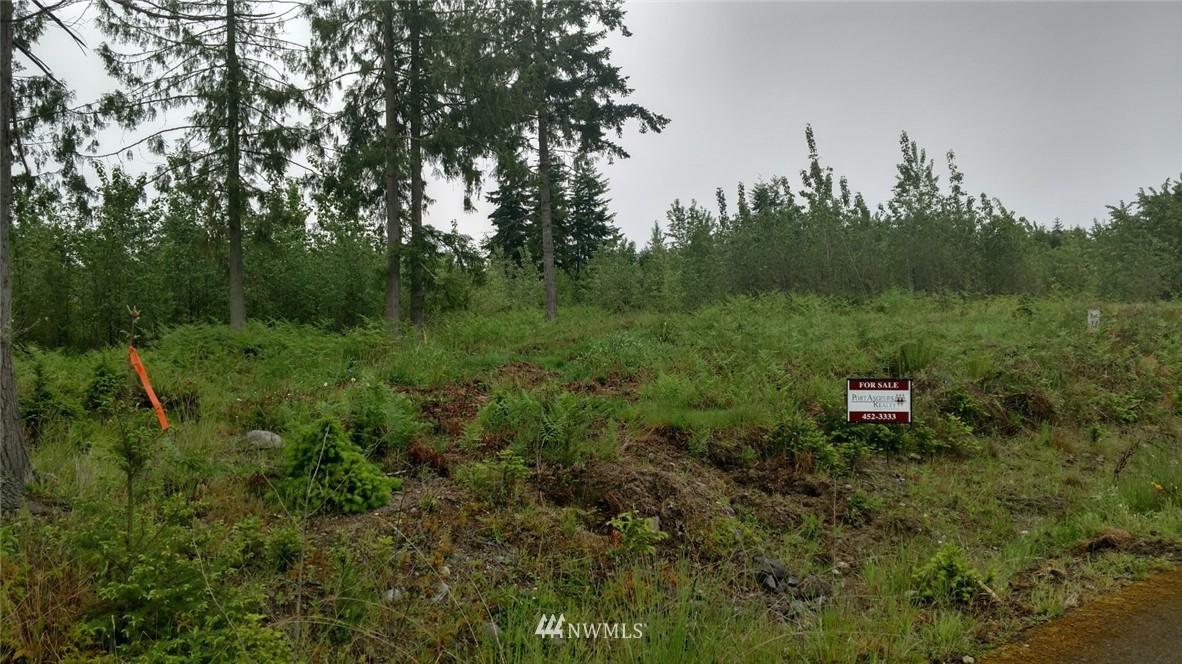 9999 Grand Ridge Way, Unit LT14 Port Angeles, WA 98362 - Photo 1 of 4 Gallery Image 1