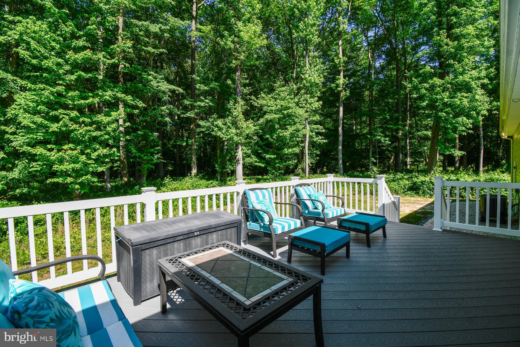 11006 Mumford Road Bishopville, MD 21813 - Photo 6 of 48