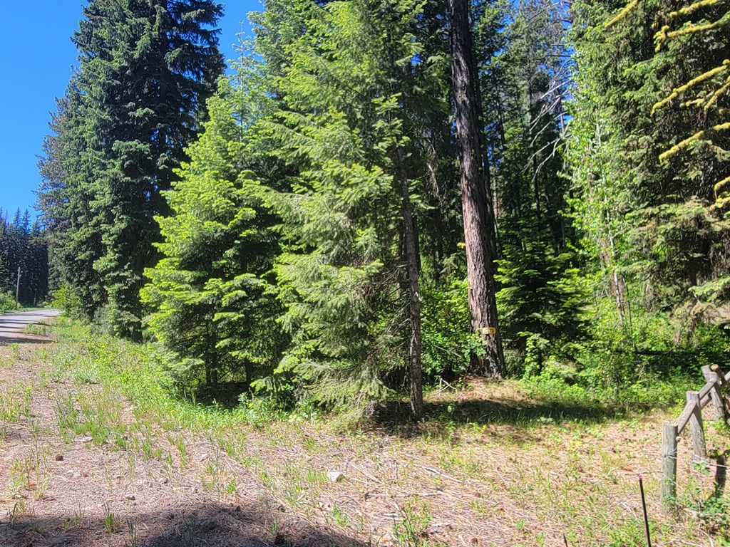 671 West Mountain Road Cascade, ID 83611 - Photo 8 of 11 Trails
