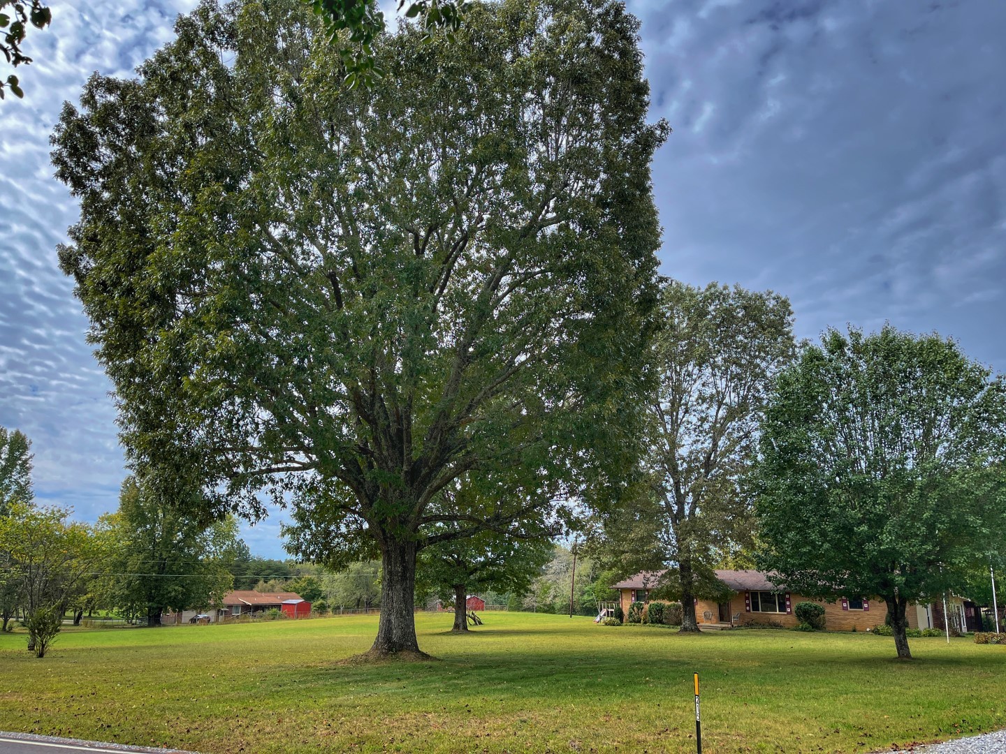 215 Donegan Crossing Road Dickson, TN 37055 - Photo 3 of 42 Gallery Image 3