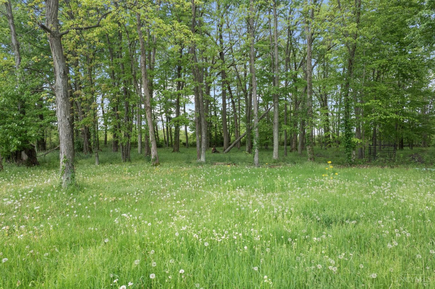 13369 Busch Road Sardinia, OH 45171 - Photo 24 of 30 Gallery Image 24