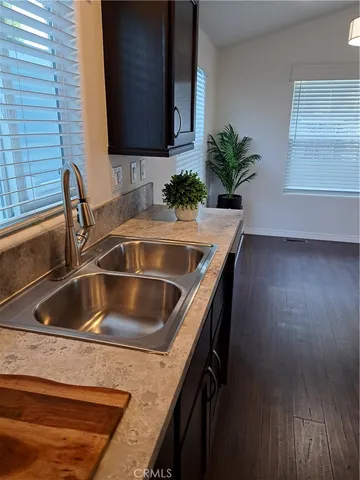 a kitchen with a sink and a potted plant