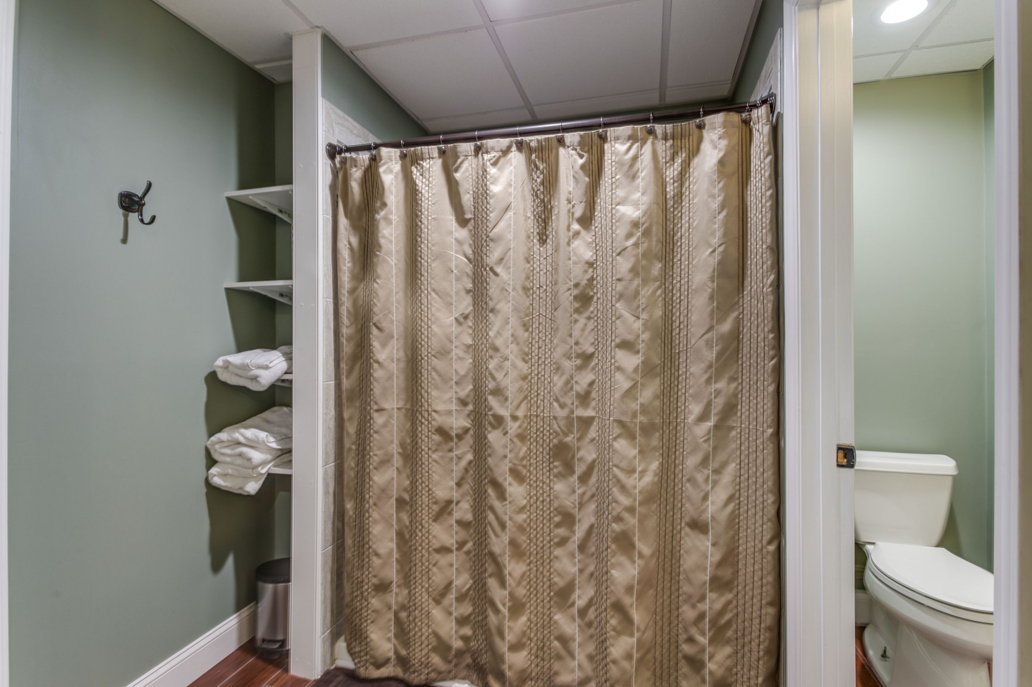 844 Ed Sanders Road Lynchburg, TN 37352 - Photo 31 of 46 a bathroom with a toilet and a shower curtain