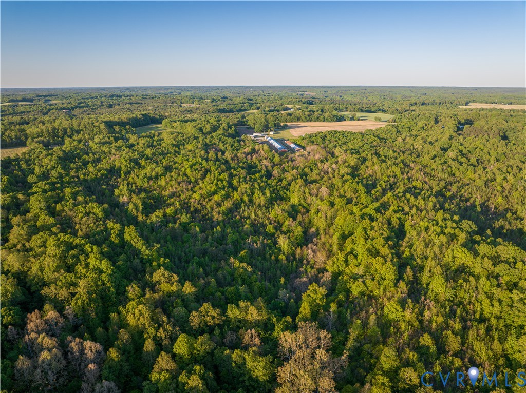 0 Poorhouse Road Green Bay, VA 23942 - Photo 11 of 24