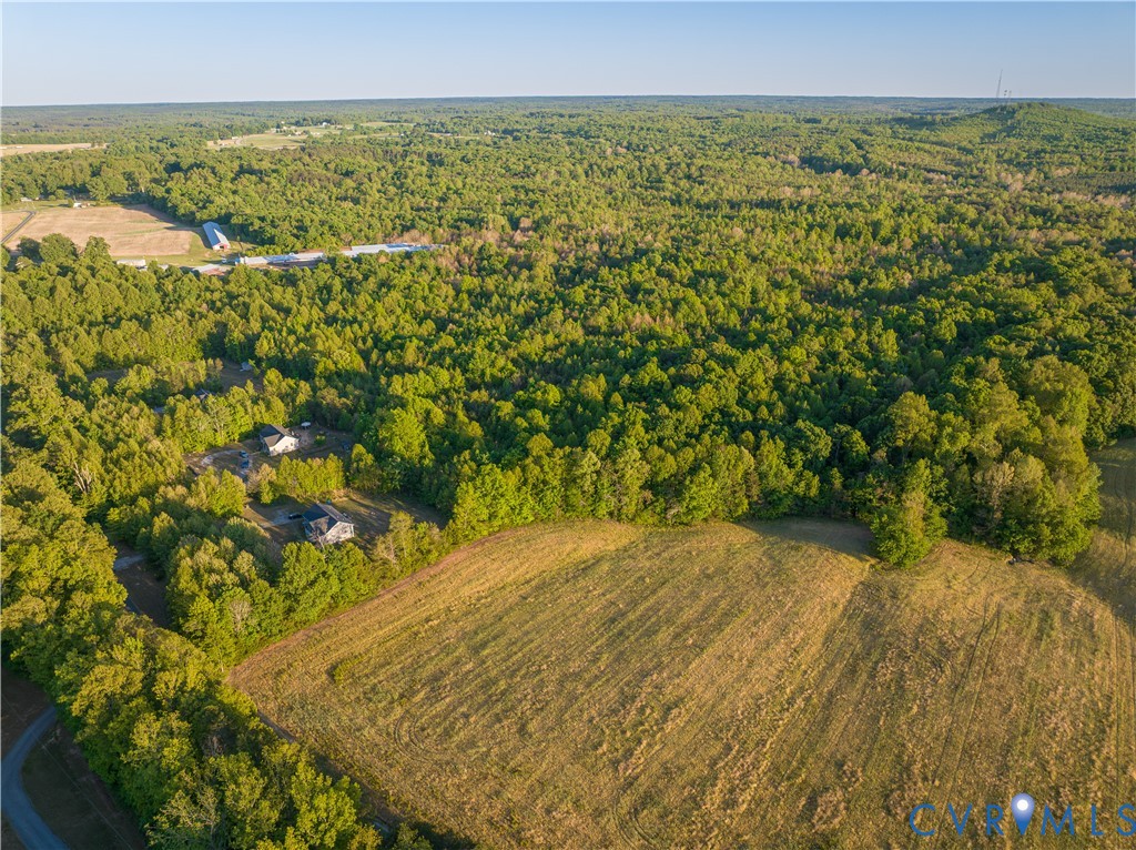 0 Poorhouse Road Green Bay, VA 23942 - Photo 17 of 24 a view of a yard