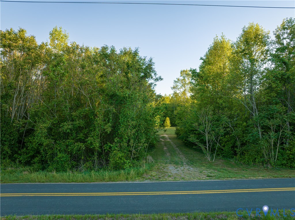 0 Poorhouse Road Green Bay, VA 23942 - Photo 23 of 24 a view of a yard